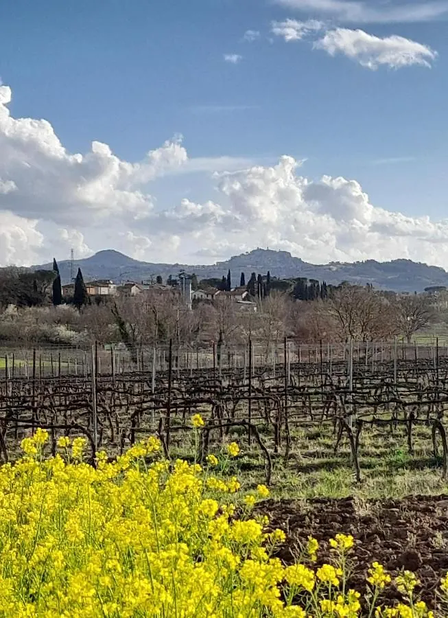Come In Agriturismo - Montepulciano - Vacation In Tuscany Abbadia di Montepulciano Holiday home