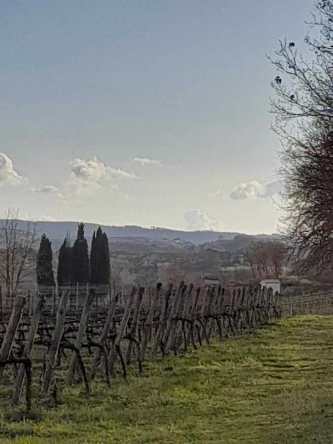 Come In Agriturismo - Montepulciano - Vacation In Tuscany Abbadia di Montepulciano 0*,  Italy